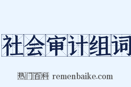 社会审计组词是什么意思的图片